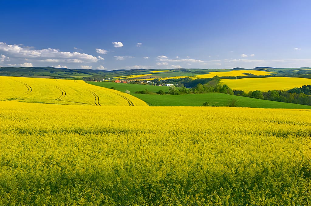 Erzgebirge Mountains