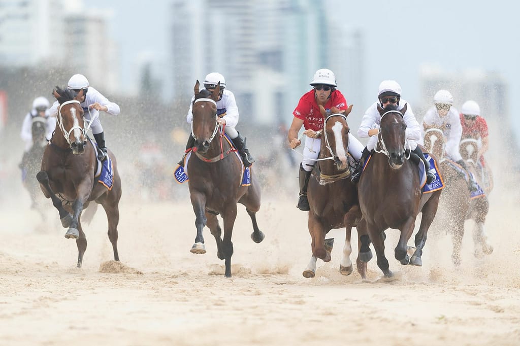 Geelong and Gold Coast Horse riding