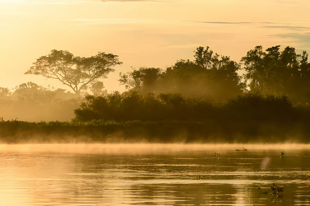 The Pantanal