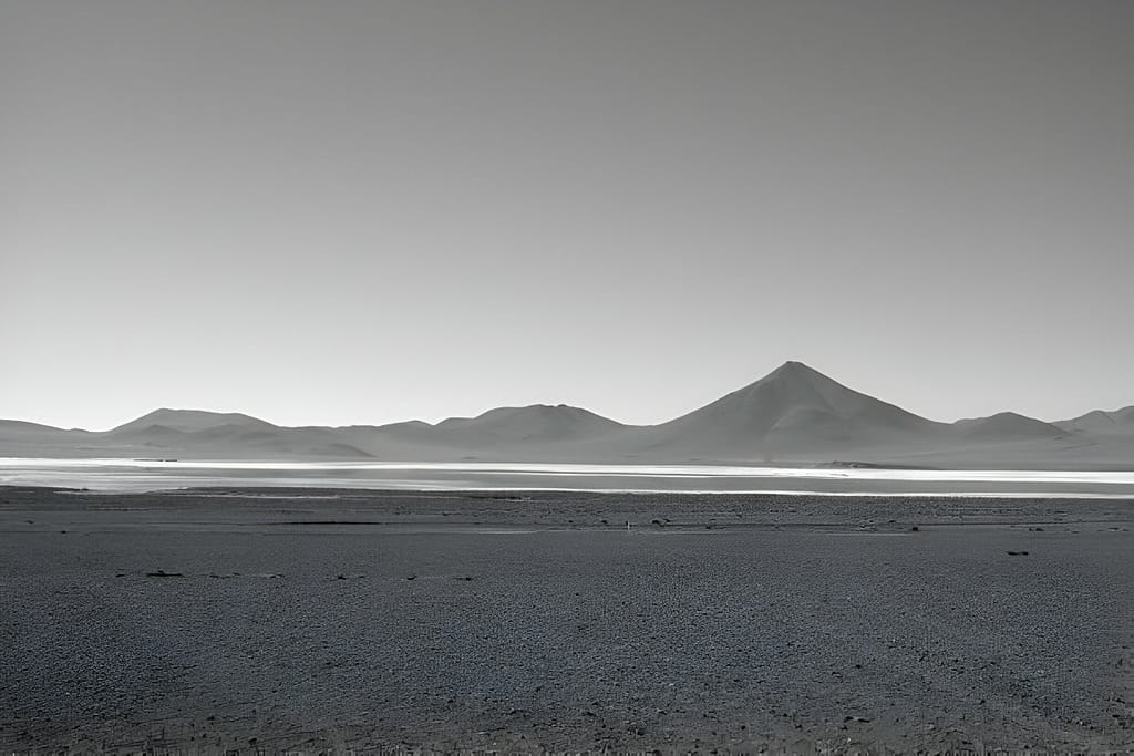 Salt Lakes Of the Andes