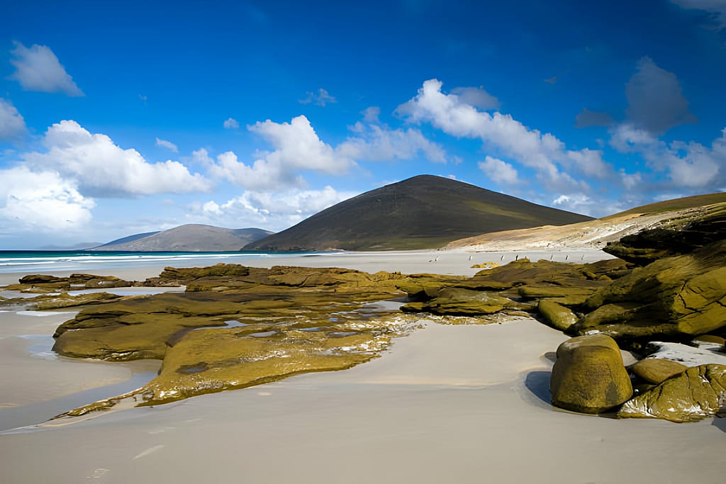 Falkland Islands 