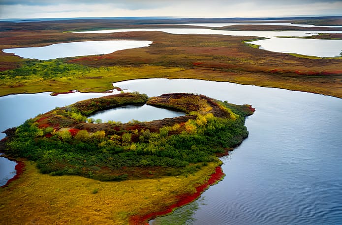 mackenzie delta