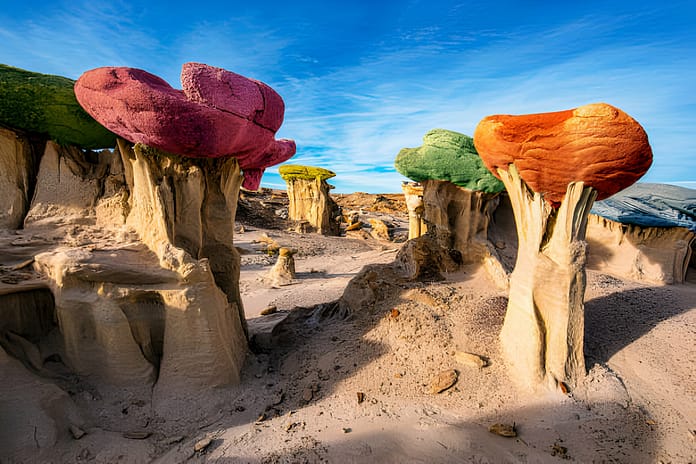 Bisti Wilderness