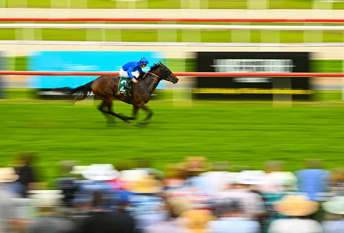 Geelong and gold coast horse riding