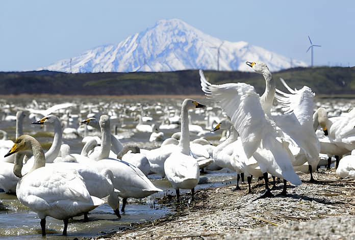 Rebun And Rishiri Islands