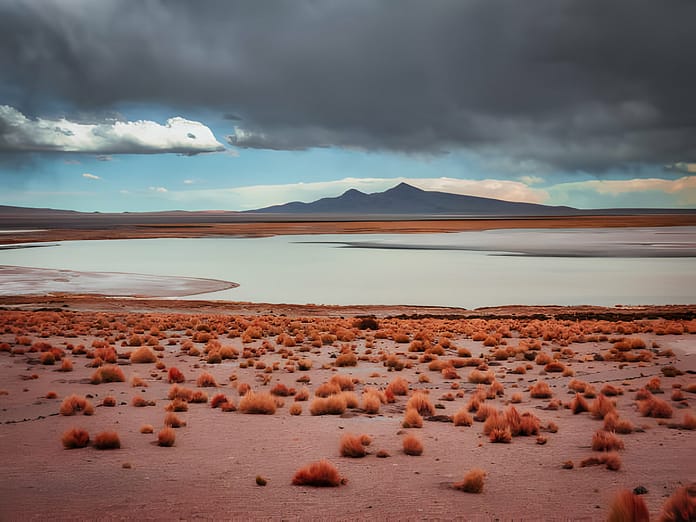 Atacama Desert